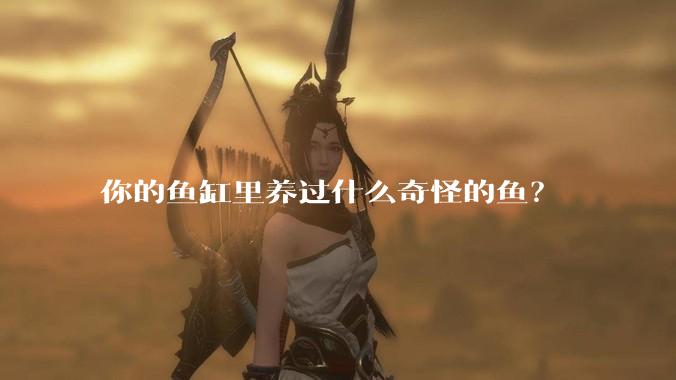 你的鱼缸里养过什么奇怪的鱼？