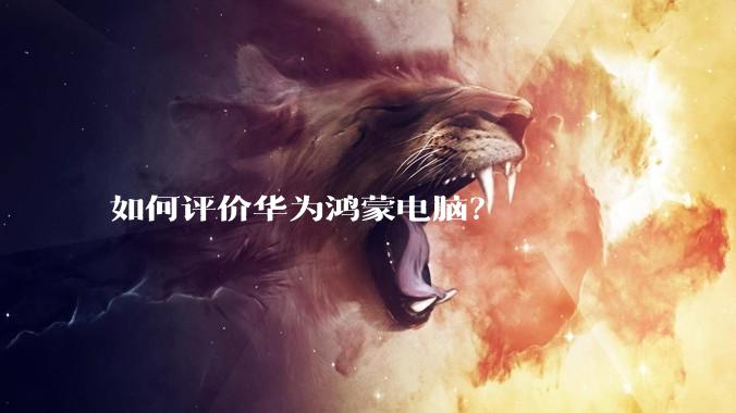 如何评价华为鸿蒙电脑？