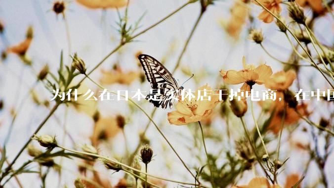 为什么在日本是实体店干掉电商，在中国却是电商干掉实体？